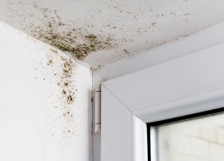 Mould in the corner of the plastic windows in a home.